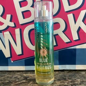 Bath & Body Works Blue Waves & Citrus